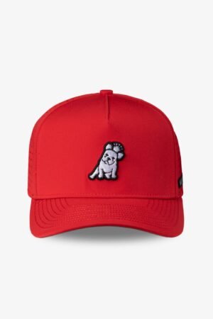 James Bark Red Recycled Cap